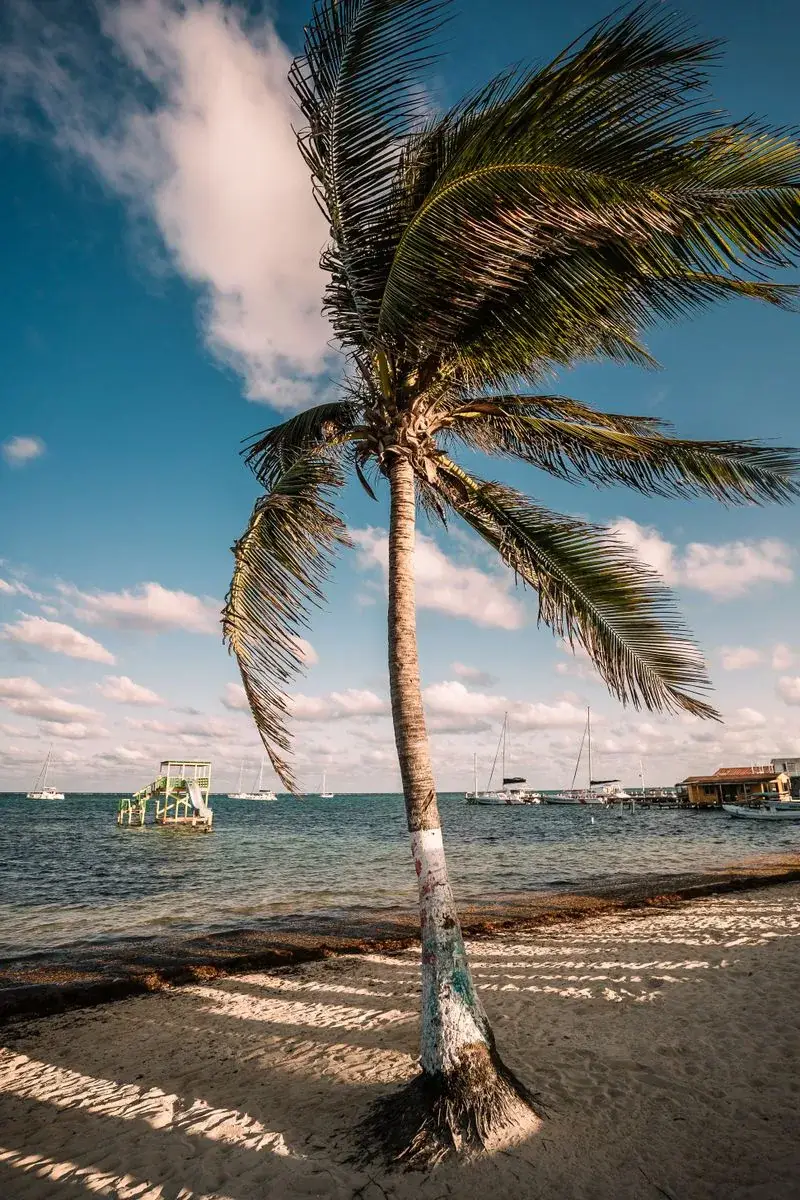 Best Time to Visit Belize by Season — illustrative photo