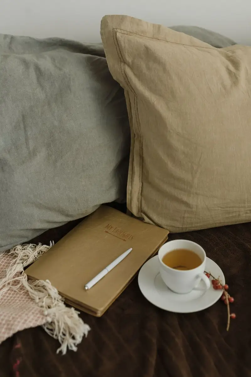 Dream Journal And Sleep Aids Cost — illustrative photo