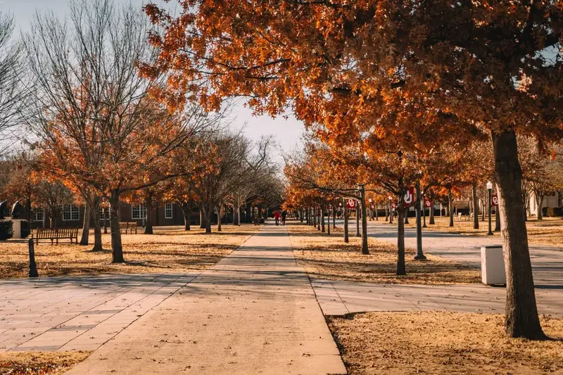 How Long Is Fall Semester in Weeks and Months — illustrative photo