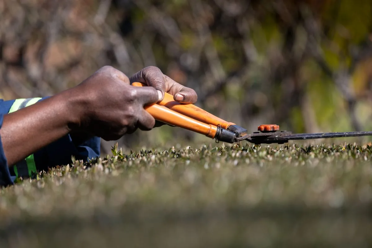 How to Clean Prep Garden Tools Before Donating — illustrative photo