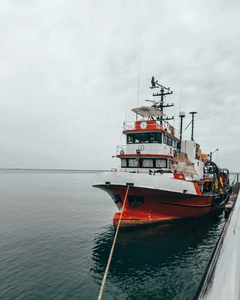 Marine Biologist Job Outlook and Hiring Forecast 2026 — illustrative photo