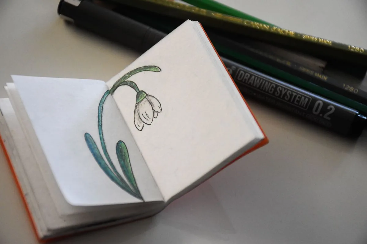 Pencil Vs Pen Drawing For Fun — illustrative photo