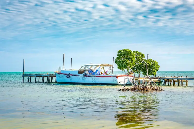 Summer Travel to Belize Everest Region Feasibility — illustrative photo