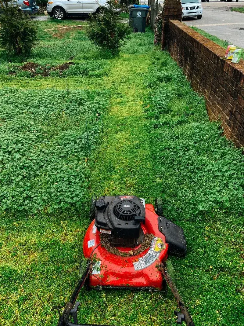 Where Donate Lawn Mowers Power Tools Near You — illustrative photo